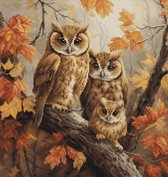 Luca-S The Owls Family borduren (pakket) BU5045