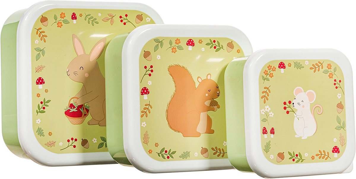 Goedkoopste Lunchbox / Snackdoosjes Garden Friends van Sass & Belle (3 stuks