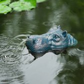 Tête d'hippopotame flottante