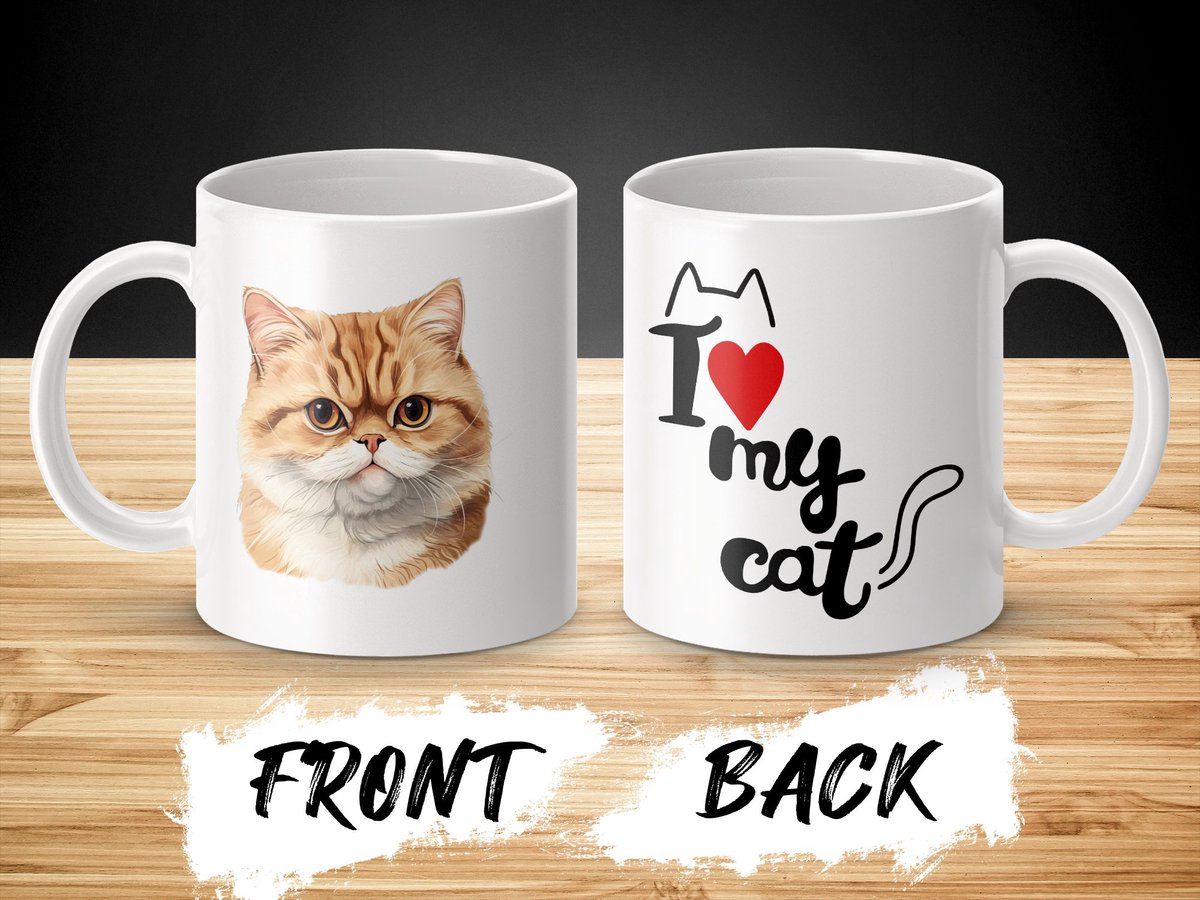Mok Exotic Shorthair cat - kat - I love my cat - cat lovers - katten
