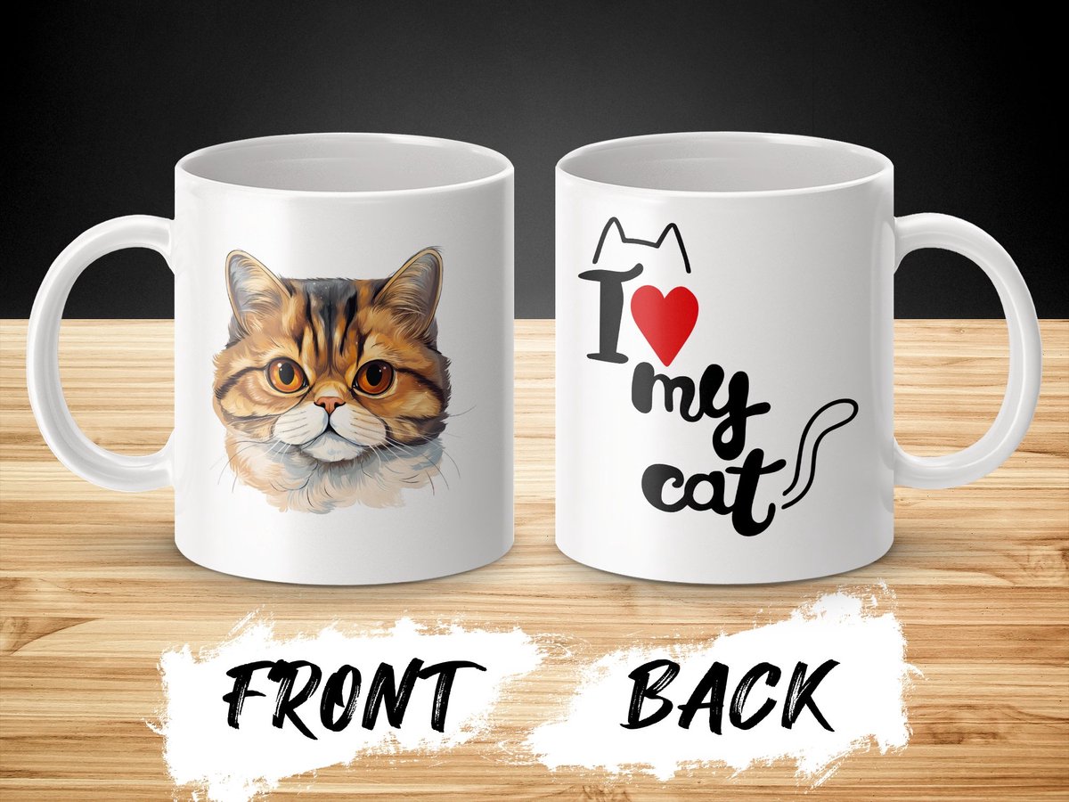 Mok Exotic Shorthair cat - kat - I love my cat - cat lovers - katten