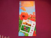 TIMBRES - TIMBRES / Fleurs - timbres non antérieurs pour la België (POSTFRIS)