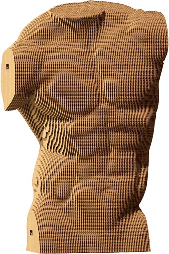 Cartonic - Puzzle Sculpture 3D Torse Masculin