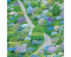 Fiddlehead - Between The Richness (CD)