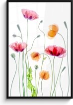 Posters nature - Fleurs - Coquelicot - Wit - Affiche avec cadre - Affiche murale - Décoration murale - 80x120 cm