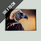 Akoestische wanddecoratie "Andescondor" | 100 x 70 cm | Materiaal gemaakt van gerecycleerde spijkerbroeken | Zwarte kader | Met ophangbeugel | Condor | Vogel | Roofvogel | Zuid-Amerika | Andes