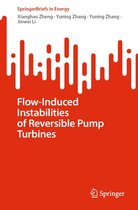 SpringerBriefs in Energy - Flow-Induced Instabilities of Reversible Pump Turbines