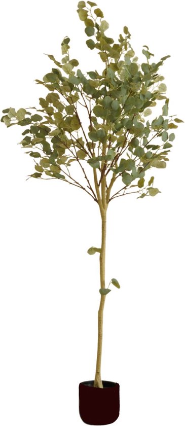Eucalyptus Kunstplant 180 cm | Eucalyptus Kunstboom | Grote Kunstplanten | Kunstplanten voor Binnen