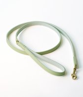 Wiggled Hondenriem - Vegan leer - Maat S (lengte 1.50 meter, breedte 1.5 cm) - Trendy en hip - Bijpassende halsband mogelijk - klein en middelgrote hond - Groene kleur
