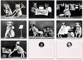 Set met 7 nostalgische verschillende ansichtkaarten met honden en katten - Nostalgia - Leuke Post - zwart-wit