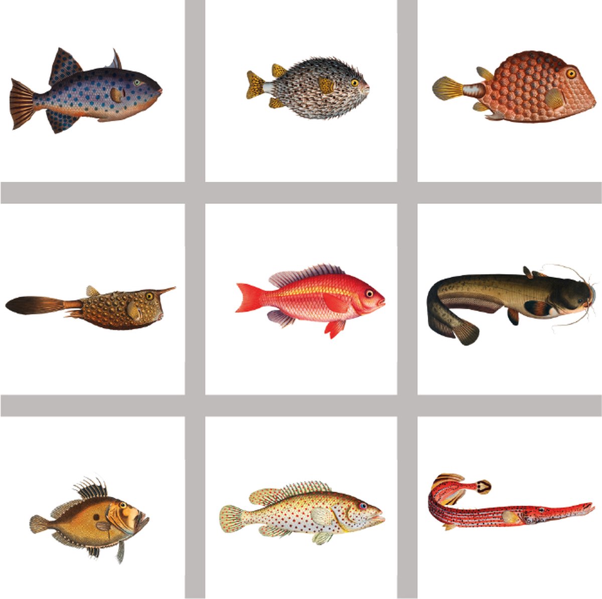 9 stuks 15x15cm tegelstickers vissen transparant - badkamer, keuken en toilet - zelfklevend - peel and stick - decoratiestickers - plakfolie stickers - backsplash