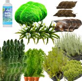 vdvelde.com - Anti Alg Vijver Pakket - XXL - Voor 12.500 - 15.000 L - Zuurstofplanten + extra's - Plaatsing: -1 tot -20 cm