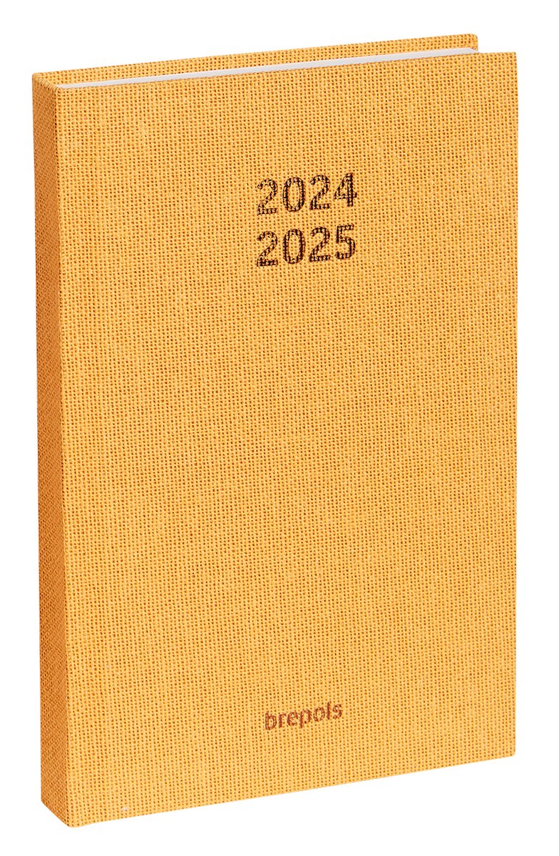 Brepols agenda 2024-2025 - STUDENT - RAW - Weekoverzicht - Geel - 9 x 16 cm