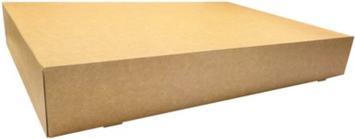 Cateringdoos Groot - Karton 55,7x37,6x8 cm - 40 st/ds.