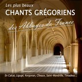Various Artists - Les Plus Beaux Chants Grégoriens Des Abbayes De France (2 CD)