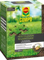 COMPO Gazonzaad Herstelgazon - voor eenvoudig herstel van beschadigde gazons - snelle kieming - doos 2 kg (100 m²)