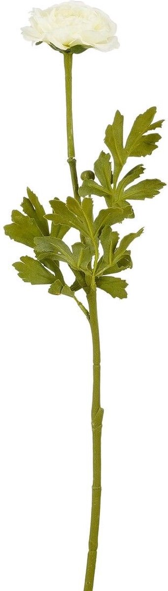Mica Decorations RANUNCULUS CREME - L56CM