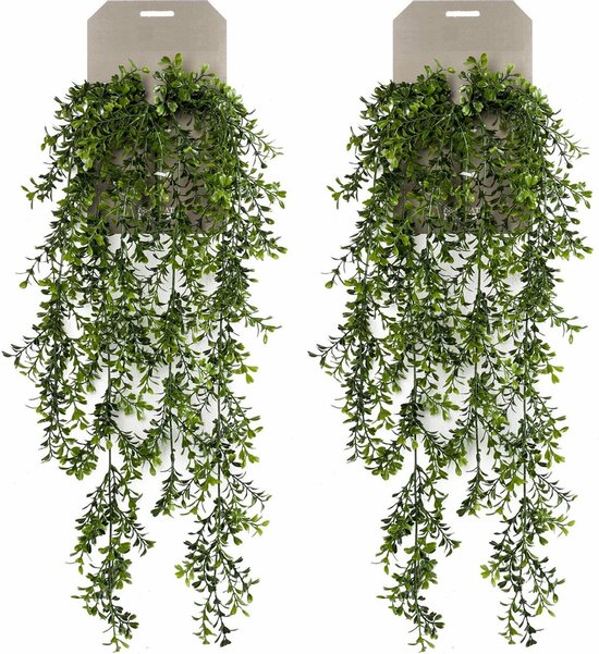 Emerald kunstplant/hangplant - 2x - Buxus - groen - 75 cm lang - Levensechte kunstplanten