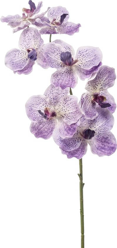 Orchidée fleur Emerald artificielle Vanda - 77 cm - violet/lilas - branche lâche - fleur artificielle en soie