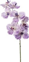 Emerald Kunstbloem Orchidee Vanda - 77 cm - paars/lila - losse tak - kunst zijdebloem