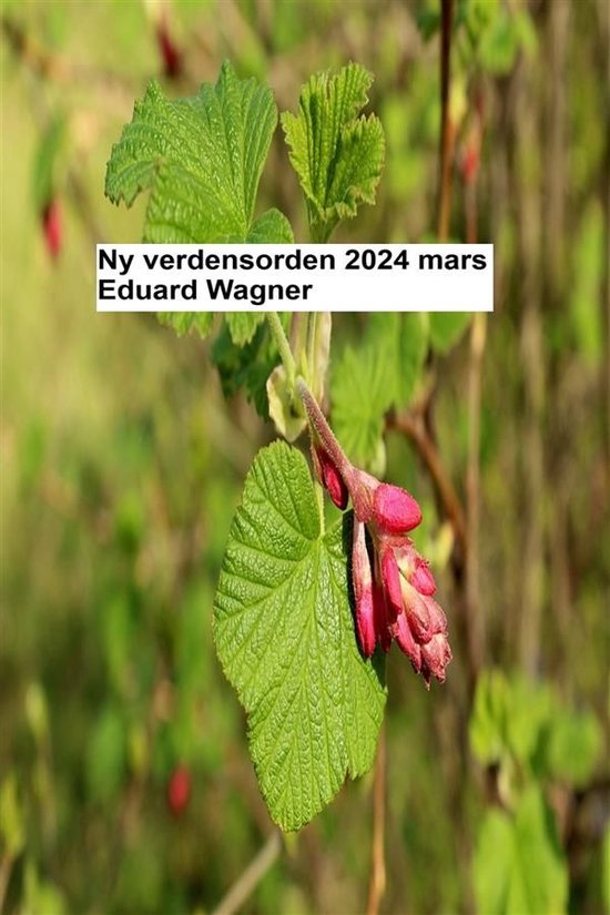 Zeitenwende 1 - Ny verdensorden - mars 2024 - cover