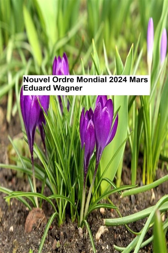 Zeitenwende 1 - Nouvel Ordre Mondial - Mars 2024 - cover
