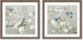 Canvas DKD Home Decor 63 x 3 x 63 cm 60 x 3 x 60 cm Vogels Shabby Chic (2 Stuks)