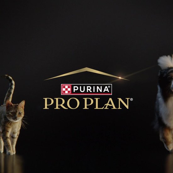 PURINA® PRO PLAN® Sensitive Skin Medium Adult - Hondenvoer - Zalm - 14 kg