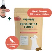 Grote ras: Probiotica Hond (MET KIP) | Ondersteunt Darmflora & Spijsvertering | 100% Natuurlijk | +3 miljard Probiotica per snoepje | FAVV goedgekeurd | Hondensupplementen | Hondensnacks | Brievenbuspakje | 180 hondenkoekjes
