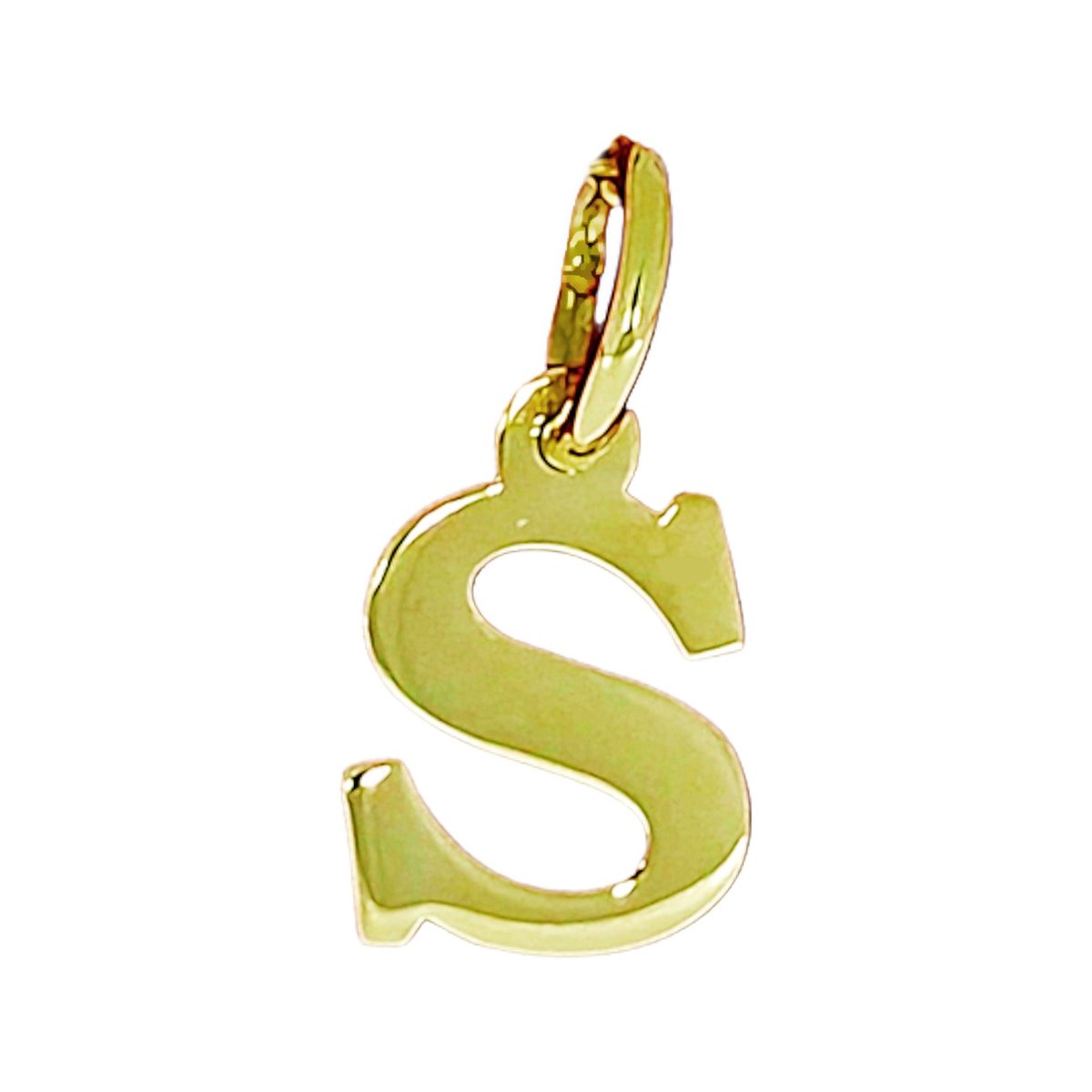 Goud Hanger Letter S 14 karaats