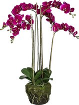 Kunstorchidee in paarse aarde H100