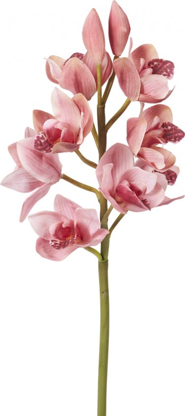 Roze kunstcymbidium orchideestam H62