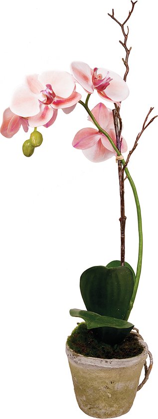 Kunstwitte en roze orchidee in pot H63