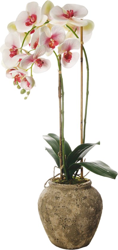 Kunstwitte en roze orchidee in pot H71