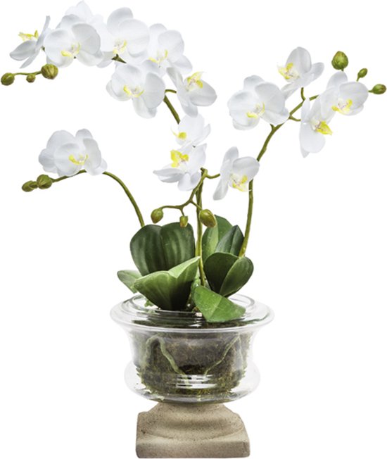 Witte kunstkoporchidee H106