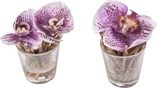 Set van 2 kunstmatige fuchsia waterillusie orchideeën D10