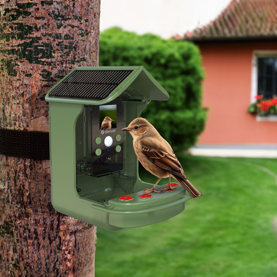 Groen vogelvoederhuis met camera, hangend aan een boom. Een mus zit op de rand, kijkt naar de camera.