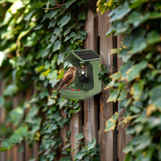 Groen vogelvoederhuis met camera, hangend aan een houten schutting. Een mus zit op de rand.