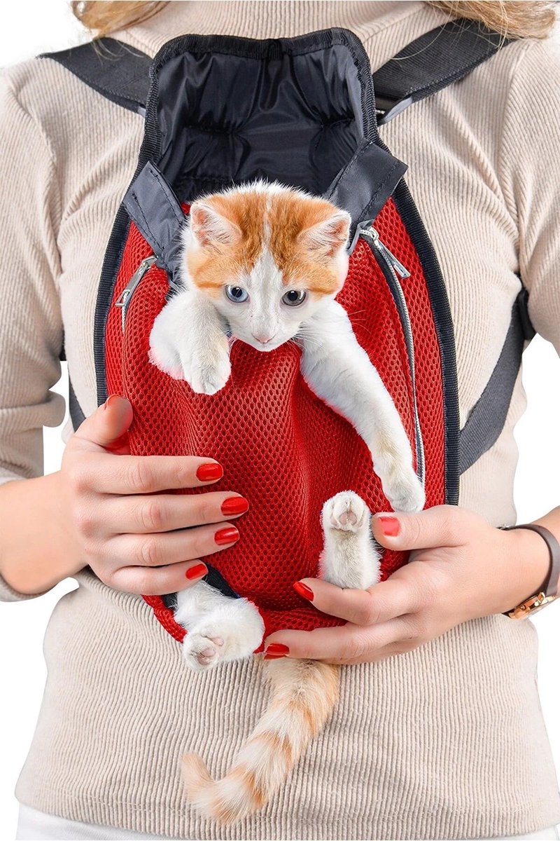 Huisdieren-draagzak voor honden en katten, draagtas aan de voorkant voor middelgrote en kleine honden, draagtas op de borst, verstelbare poten voor buiten, reistas, draagbaar, Maat L Rood