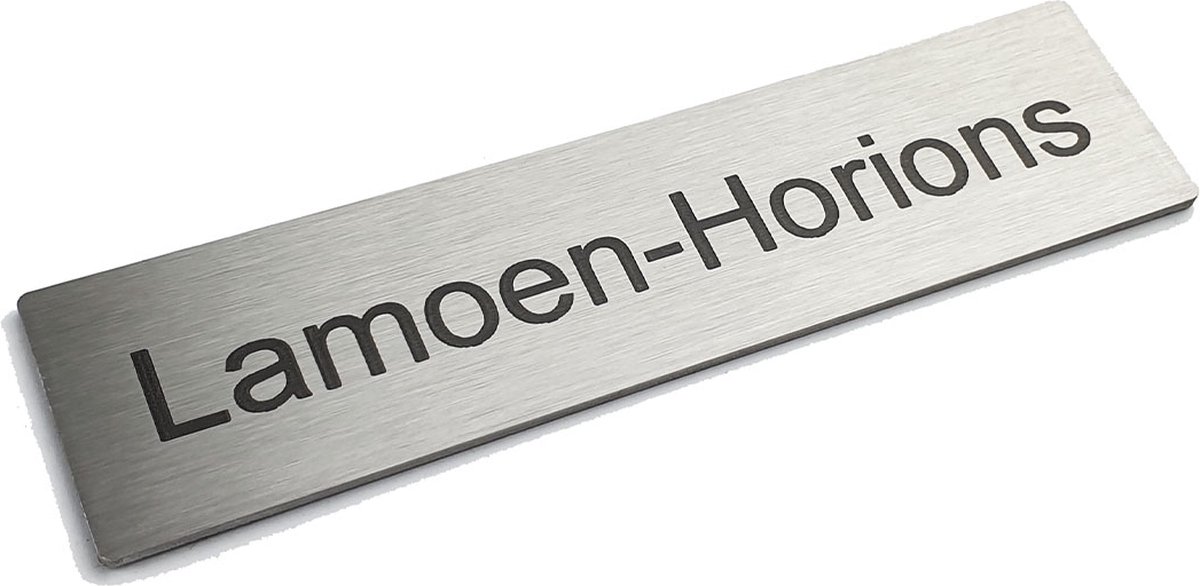 Kirinify – RVS Naambordje voordeur 10 x 2.5 cm – RVS naamplaatje brievenbus – Permanente lasergravering – Zelfklevend