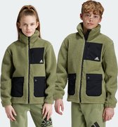 adidas Sportswear Fleece Jack - Kinderen - Groen- 164