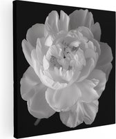 Artaza Canvas Schilderij Witte Pioenroos op een Zwarte Achtergrond - 40x40 - Klein - Foto Op Canvas - Canvas Print