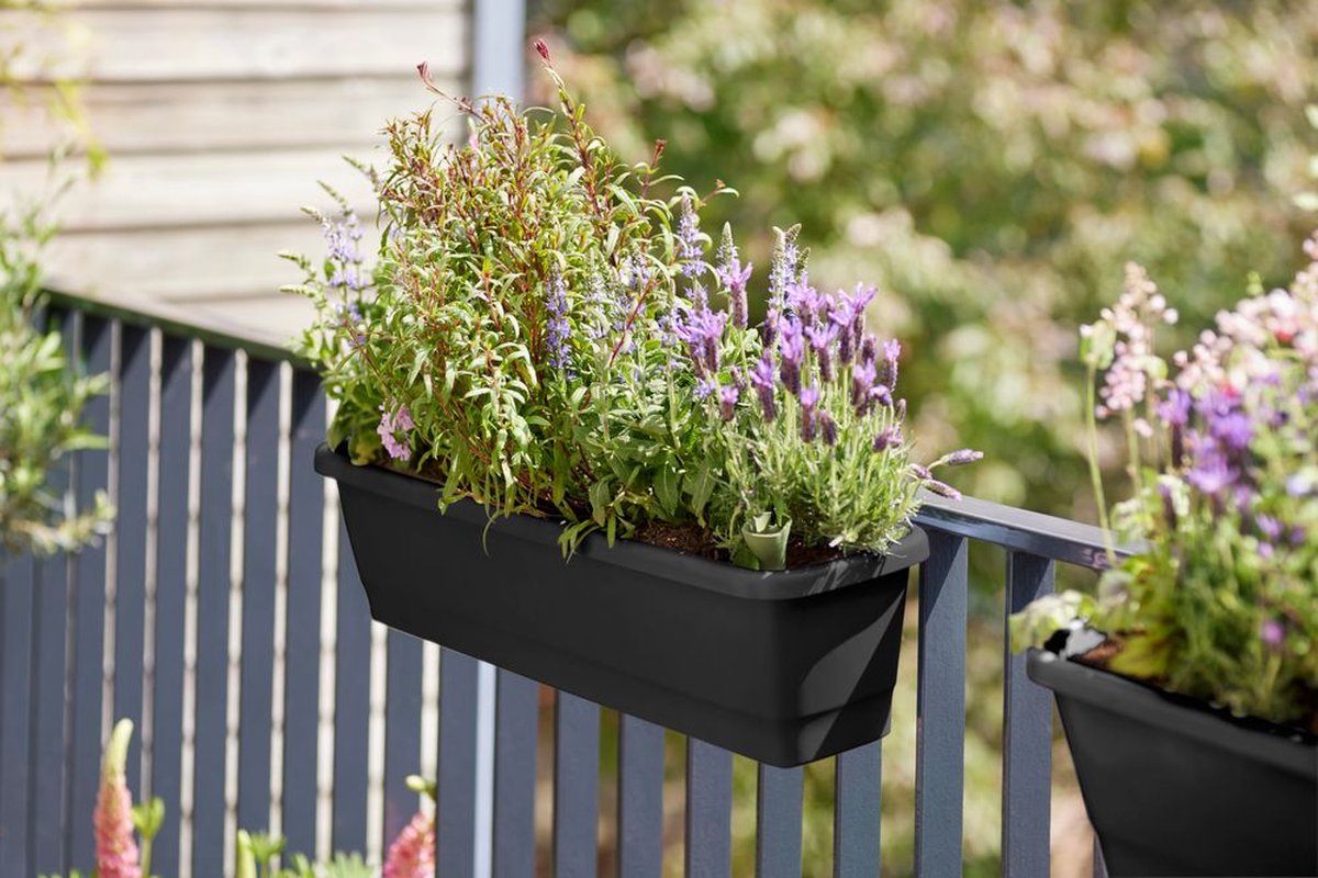 Elho Noa Balcony Planter M - Outdoor - Water Reservoir