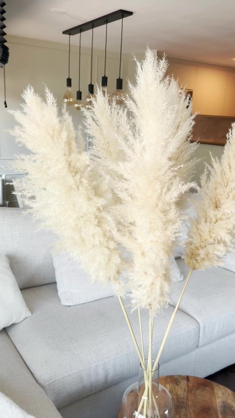 50 Stuks Pampas Gras Gedroogd Natuurlijk Gedroogde Bloemen Deco DIY Droog Bloemen Boeket, Pampas Gras Boeket Rietbloem Deco Ideaal voor Boho Woonkamer (style 3 50 Stuks Pampas Gras Gedroogd Natuurlijk Gedroogde Bloemen Deco DIY Droog Bloemen Boeket, Pampas Gras Boeket Rietbloem Deco Ideaal voor Boho Woonkamer (style 3