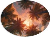 PVC Schuimplaat Ovaal - Palmbomen - Kleuren - Onderaanzicht - Zon - 56x42 cm Foto op Ovaal (Met Ophangsysteem)