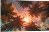 Acrylglas - Palmbomen - Kleuren - Onderaanzicht - Zon - 75x50 cm Foto op Acrylglas (Met Ophangsysteem)