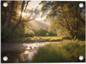 Tuinposter – Zon - Bos - Bomen - Water - 40x30 cm Foto op Tuinposter (wanddecoratie voor buiten en binnen)