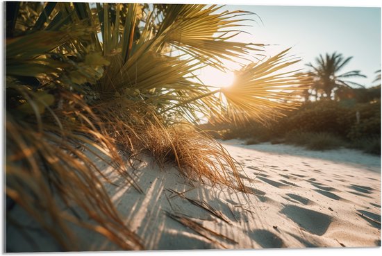 Acrylglas - Zon - Palmbomen - Planten - Zand - 75x50 cm Foto op Acrylglas (Wanddecoratie op Acrylaat)