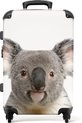 Vrolijke koala