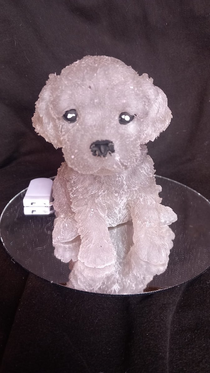 starwolf, beeldje labrador pup met ledverlichting, geschenk, decoratie